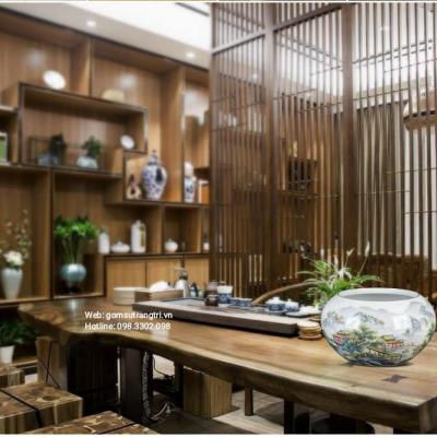 ANG THẢ CÁ THẢ HOA, TRỒNG SEN CẢNH
